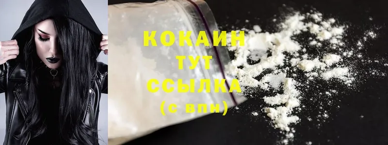 Cocaine FishScale  где продают наркотики  Ртищево 